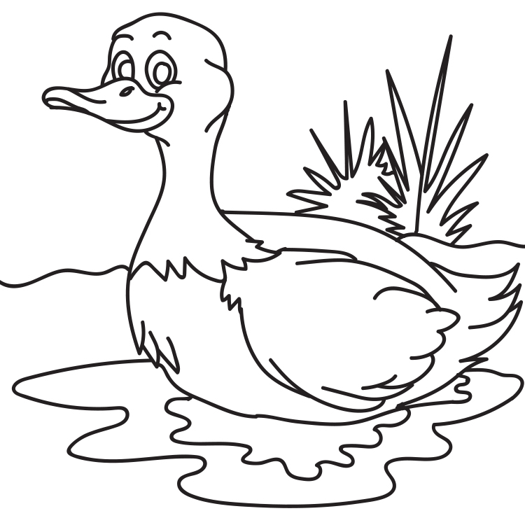 coloring pages for kids