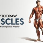 how to draw muscles