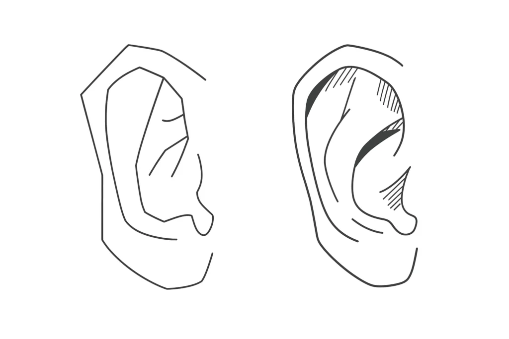 ear drawing basics