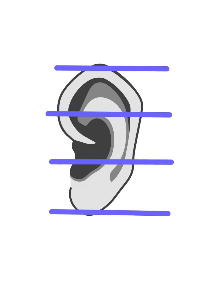ear drawing basics