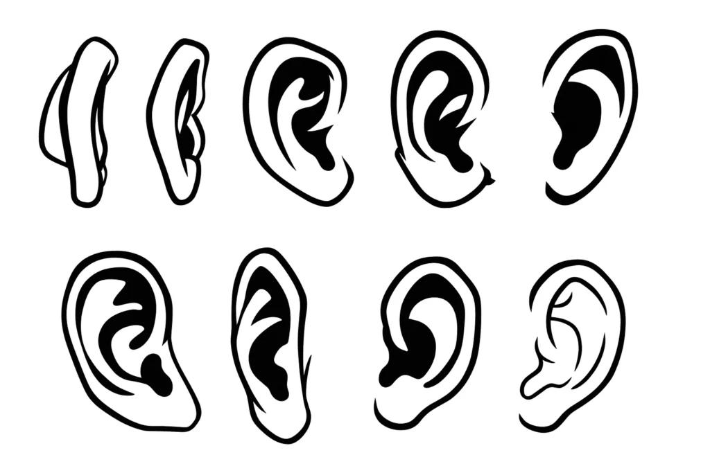 ear drawing basics