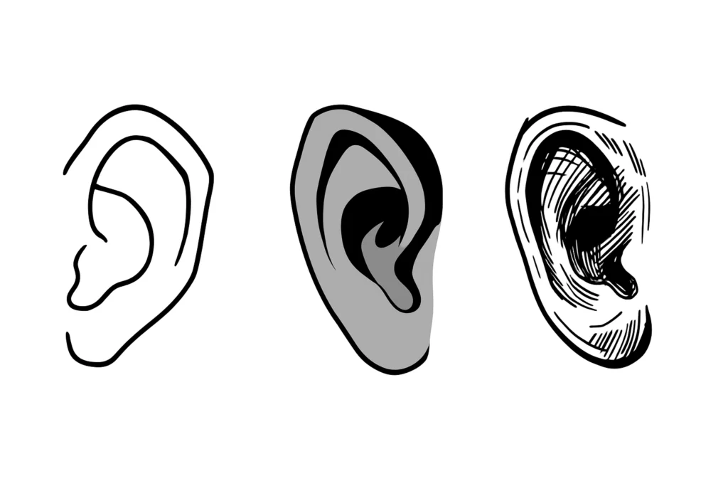 ear drawing basics