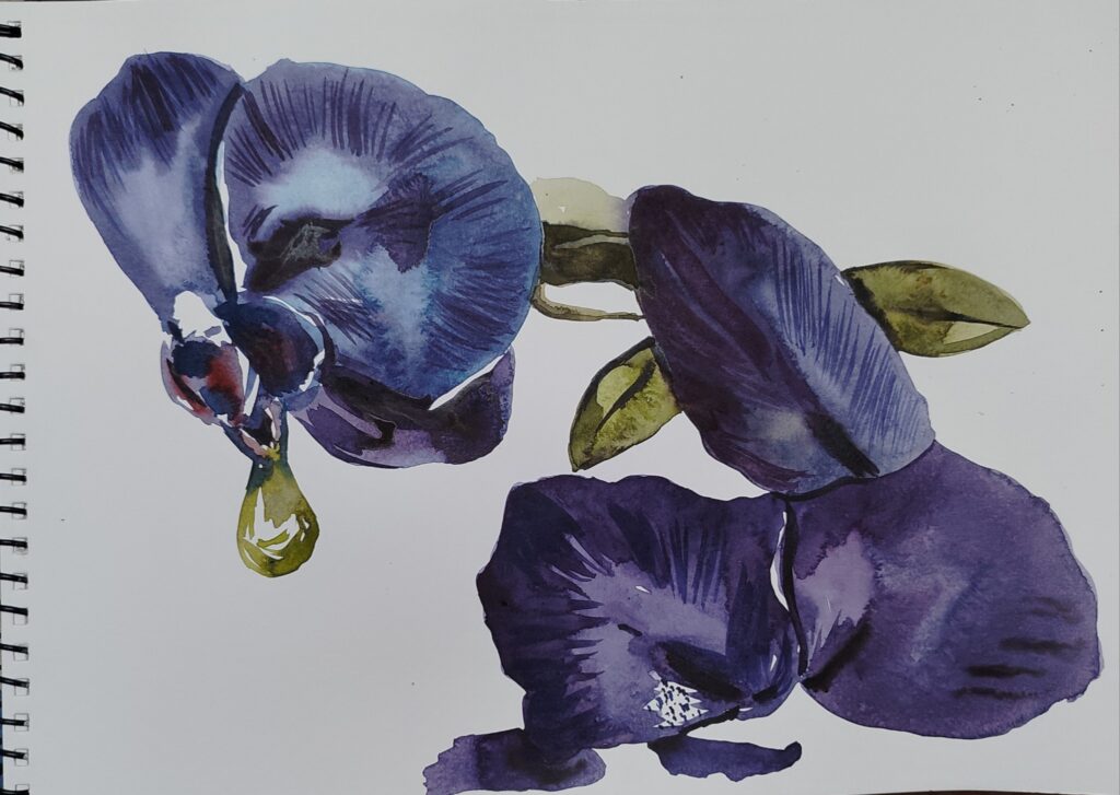 watercolor Indranil Banerjee painting