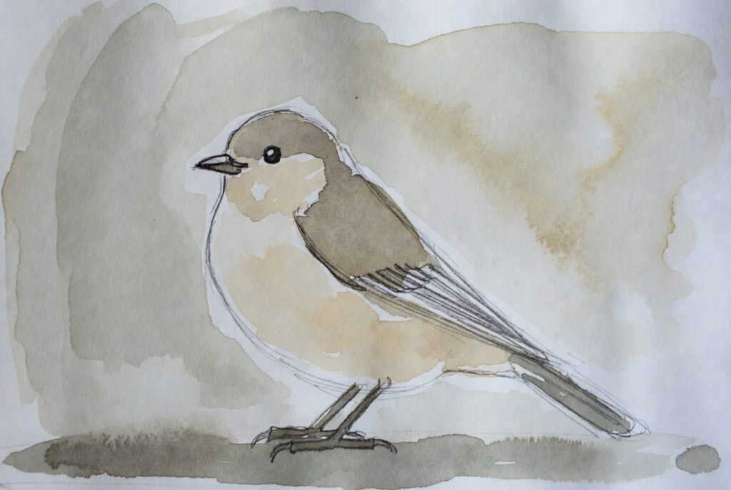 bird indranil banerjee art