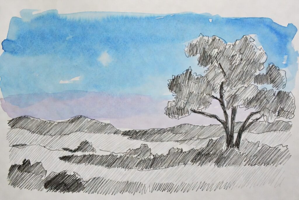 landscape indranil banerjee art