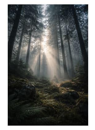 chatgpt photo editing prompts for scenery