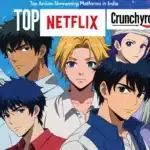 Anime Streaming Platforms