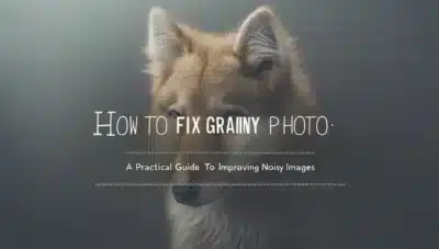 how to fix grainy photos: A Practical Guide to Improving Noisy Images